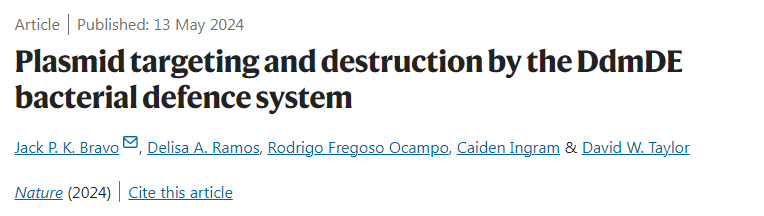 DdmDE細菌防御系統對質粒的靶向和破壞