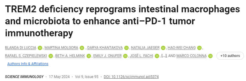 TREM2缺乏重新編程腸道巨噬細胞和微生物群以增強抗PD-1腫瘤免疫療法