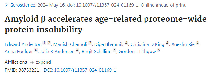 β淀粉樣蛋白加劇與年齡相關的蛋白質組全蛋白質的不溶性
