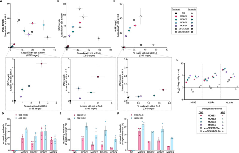 當靶向不同染色體上的兩個原間隔體時，MOBEs和親本BEs的靶上和串擾編輯效率
