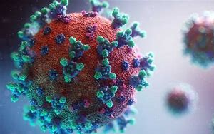 5天治愈90%重癥？減少70%新冠病毒感染？治療新冠特效藥怎么區(qū)分