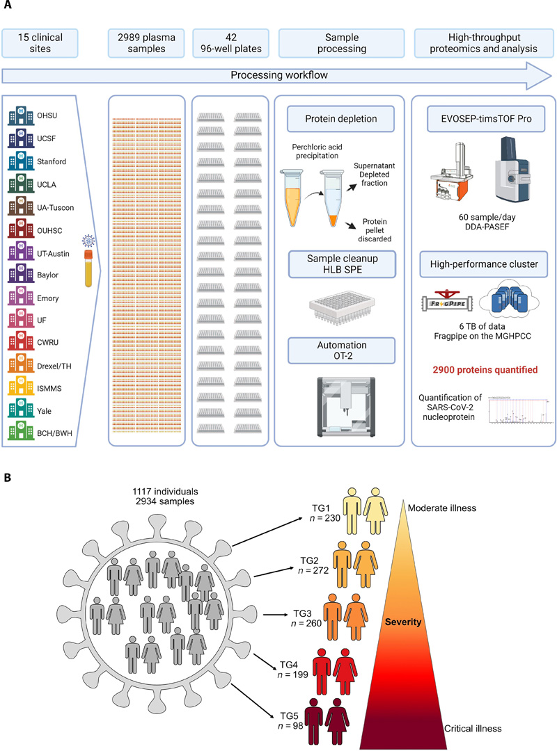 基于高通量LCMS的方法，用于分析數千個血漿樣本和隊列設計