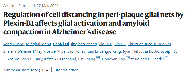 Plexin-B1對阿爾茨海默病斑塊周圍神經膠質網細胞距離的調節影響神經膠質活化和淀粉樣蛋白壓實