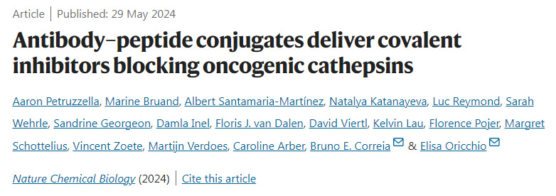 抗體-肽偶聯物提供共價抑制劑阻斷致癌組織蛋白酶