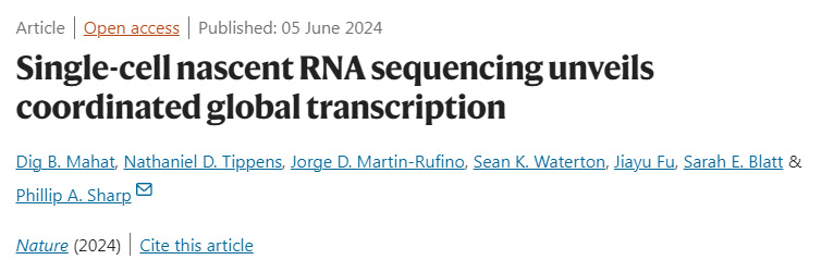 單細胞新生RNA測序揭示協調的全球轉錄