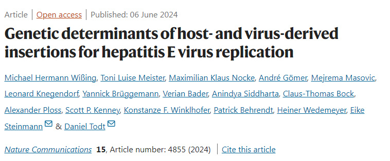 戊型肝炎病毒復制的宿主和病毒衍生插入物的遺傳決定因素