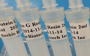 西寶生物 rProtein G SeePUR重組蛋白G親和層析預(yù)裝柱/填料系列產(chǎn)品-用于抗體純化！