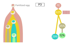 Nature Biotechnology：精確測量癌癥的進化，定義分析腫瘤基因組成的最佳算法