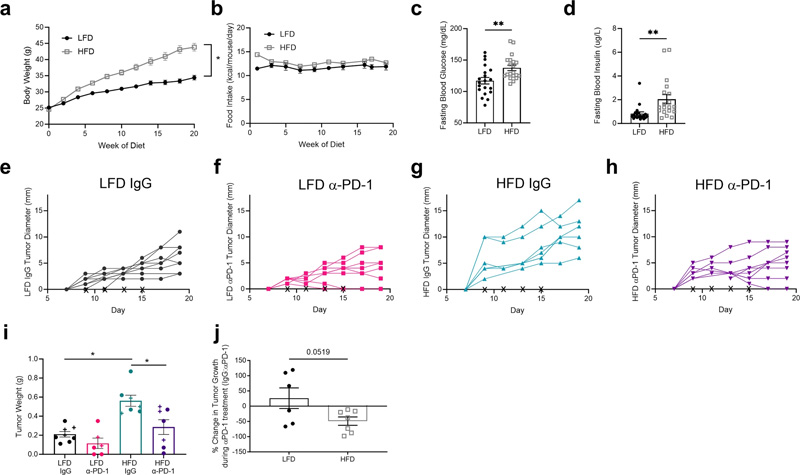 高脂肪飲食喂養(yǎng)誘導肥胖表型