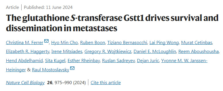 谷胱甘肽S-轉移酶Gstt1驅動轉移瘤的存活和擴散