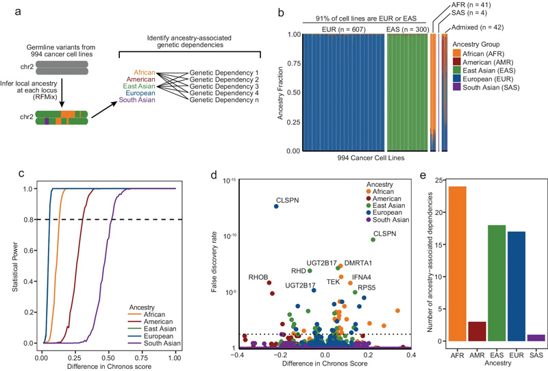 鑒定與祖先相關的遺傳依賴性