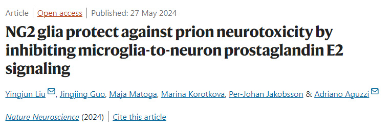 NLRC5感知NAD+損耗形成泛視小體并驅動泛視癥和炎癥 NLRC5感知NAD+損耗形成泛視小體并驅動泛視癥和炎癥