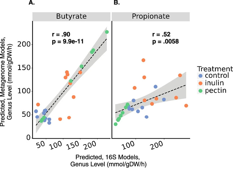 使用16S擴(kuò)增子測序或鳥槍宏基因組測序數(shù)據(jù)對SCFA產(chǎn)生的預(yù)測顯示出一致性