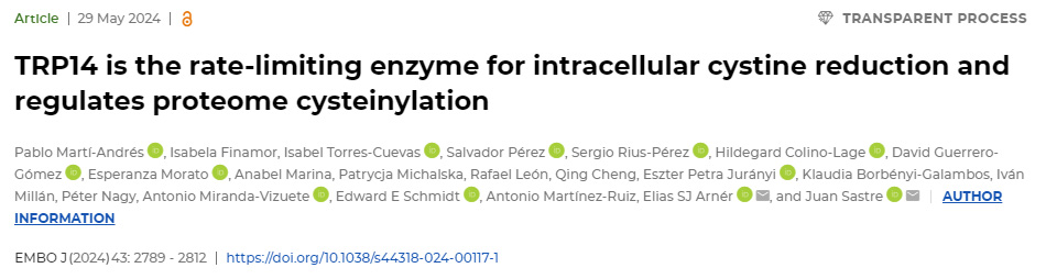 TRP14是細胞內胱氨酸減少的限速酶,并調節蛋白質組半胱氨酸化 TRP14是細胞內胱氨酸減少的限速酶,并調節蛋白質組半胱氨酸化