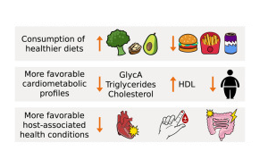 Cell：打破認(rèn)知！這種腸道生物不僅對(duì)人體無(wú)害，而且有助于健康