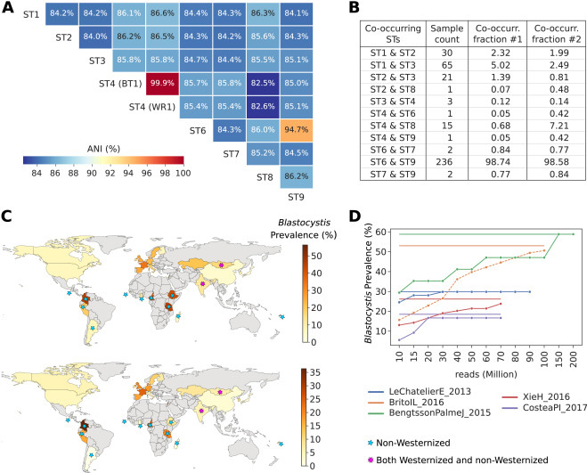 全球芽囊炎的流行率是可變的,僅限于腸道微生物群落 全球芽囊炎的流行率是可變的,僅限于腸道微生物群落