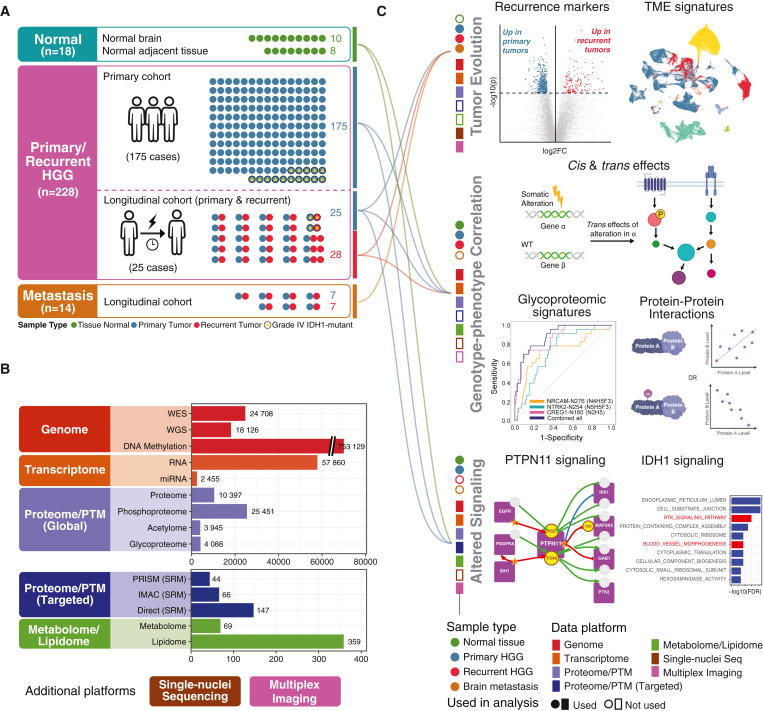 研究對(duì)象、技術(shù)平臺(tái)和檢測(cè)概述