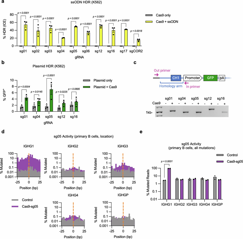 IgH基因座恒定區基因組編輯的擴展分析