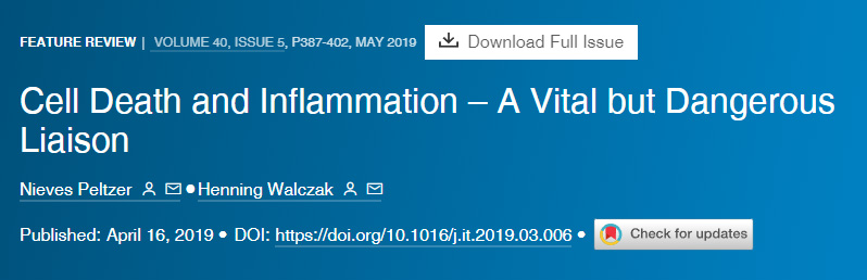 細胞死亡和炎癥重要但危險的聯系