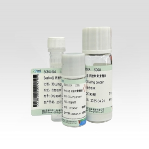 Seebio? 硫酸軟骨素酶B