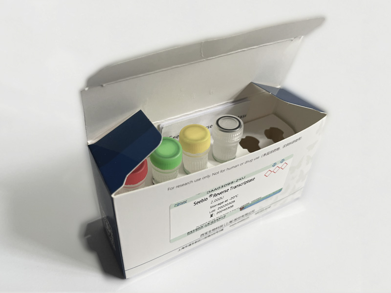 Seebio? Reverse Transcriptase（含 dNTP）