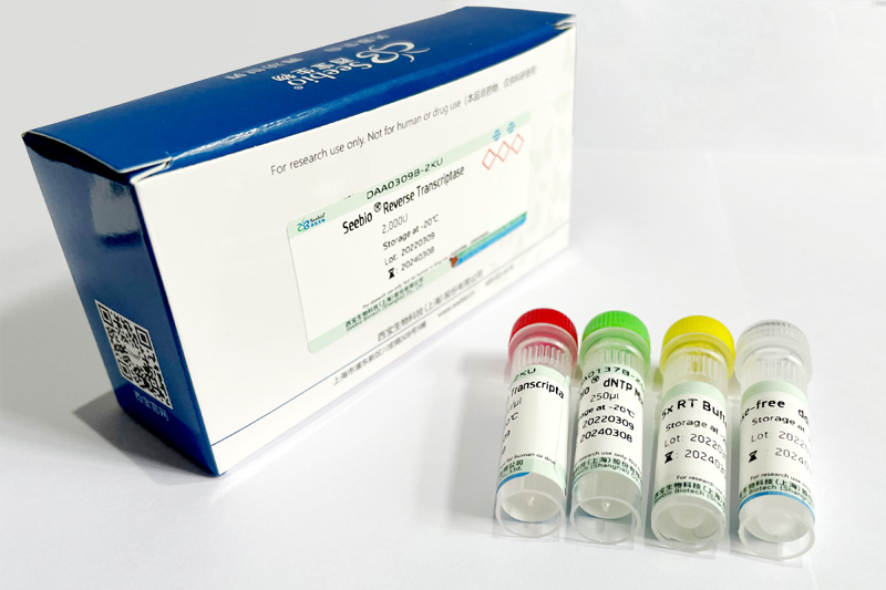 Seebio? sPFU DNA Polymerase(含 dNTP) Seebio? sPFU DNA Polymerase(含 dNTP)