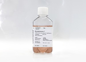 SeeBM03 CHO基礎培養基(液體)