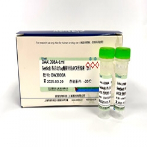 Seebio? 熱啟動Taq酶探針法qPCR預混液(2X)