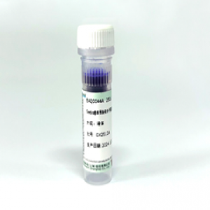 Seebio?非預(yù)染低分子量蛋白質(zhì)分子量標(biāo)準(zhǔn)，3.1~41?kDa